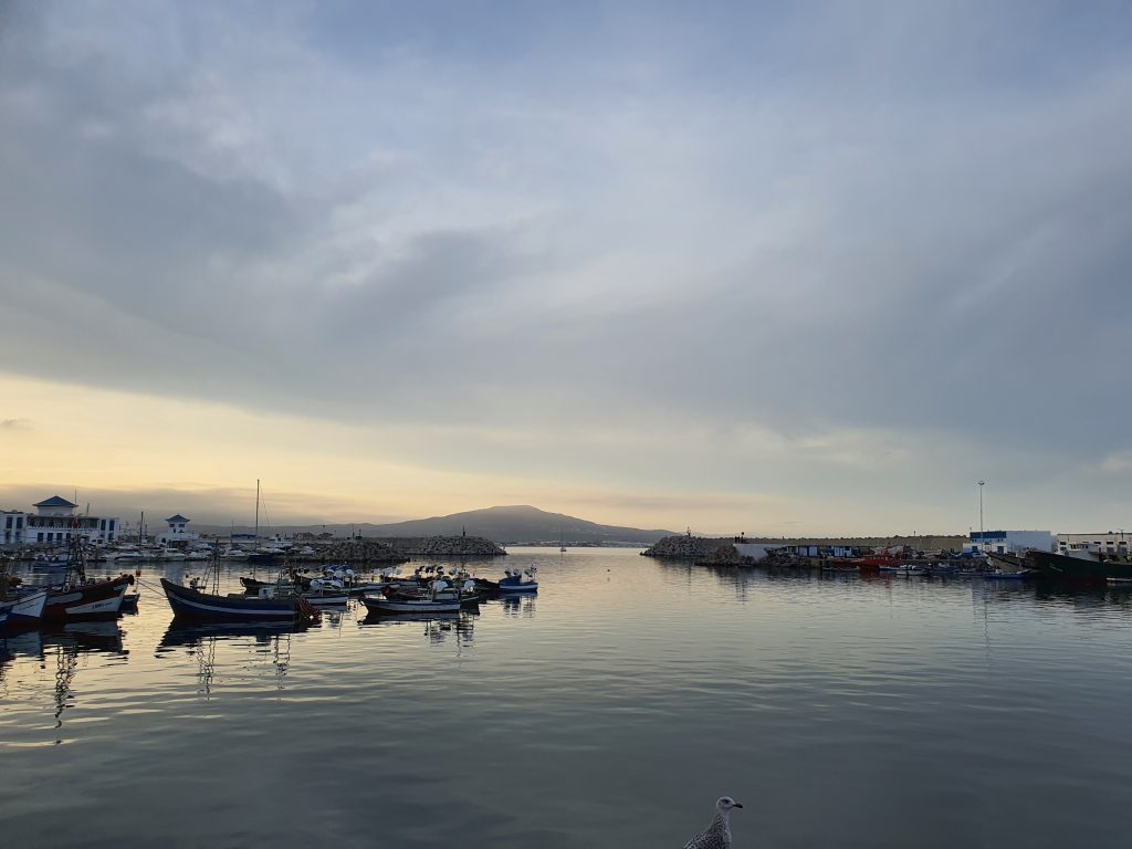 Pêche en Méditerranée : mon expérience à M’Diq, au Maroc