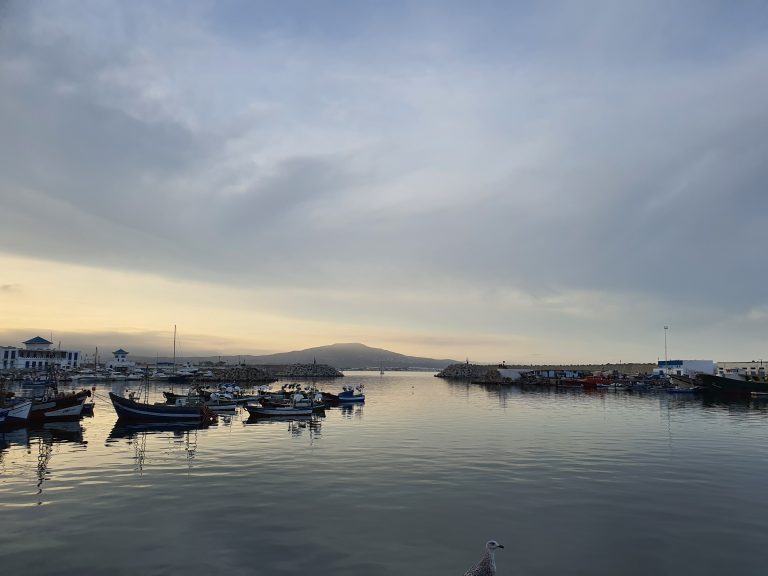 Pêche en Méditerranée : mon expérience à M’Diq, au Maroc