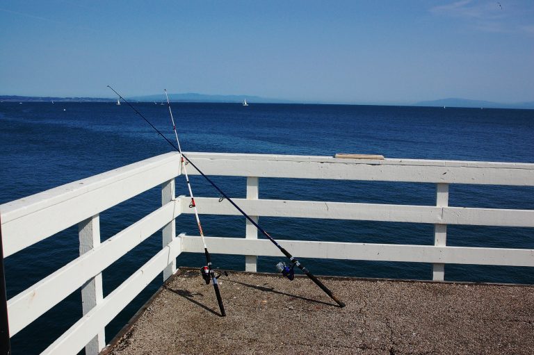 Bien choisir sa gamme de cannes à pêche