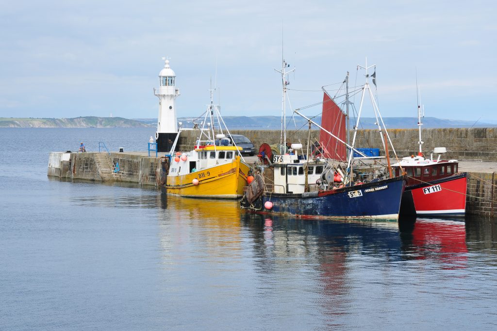 Le repos biologique dans les différentes mers, océans et lacs