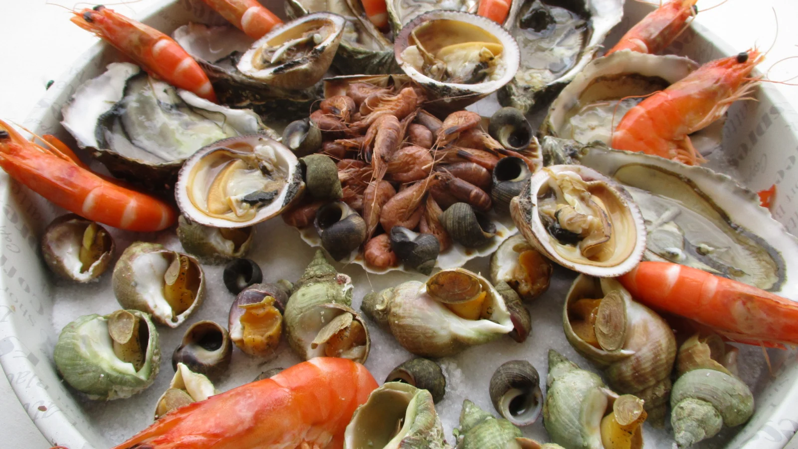 Plateau de fruits de mer prêt à servir