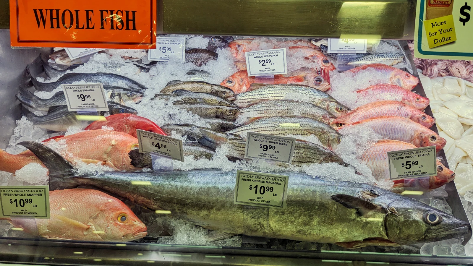 Poissons frais sélectionnés en criée